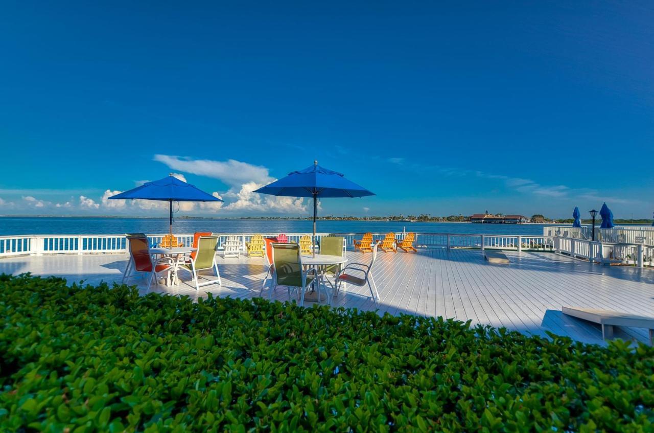 202-Pool, Wifi, Close To Bucs Stadium Tampa Exteriér fotografie